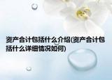 資產(chǎn)合計(jì)包括什么介紹(資產(chǎn)合計(jì)包括什么詳細(xì)情況如何)
