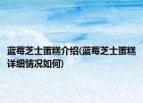 藍(lán)莓芝士蛋糕介紹(藍(lán)莓芝士蛋糕詳細(xì)情況如何)