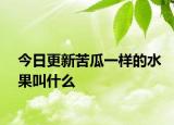 今日更新苦瓜一樣的水果叫什么