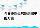 今日更新母雞啊是哪里的方言