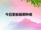 今日更新蛤蜊種類