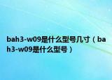 bah3-w09是什么型號幾寸（bah3-w09是什么型號）