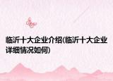 臨沂十大企業(yè)介紹(臨沂十大企業(yè)詳細(xì)情況如何)