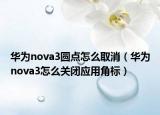 華為nova3圓點(diǎn)怎么取消（華為nova3怎么關(guān)閉應(yīng)用角標(biāo)）