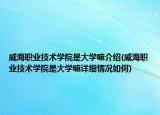 威海職業(yè)技術(shù)學(xué)院是大學(xué)嘛介紹(威海職業(yè)技術(shù)學(xué)院是大學(xué)嘛詳細(xì)情況如何)