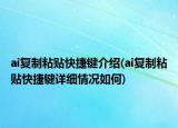 ai復(fù)制粘貼快捷鍵介紹(ai復(fù)制粘貼快捷鍵詳細(xì)情況如何)