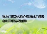 豬水門圖及名稱介紹(豬水門圖及名稱詳細情況如何)