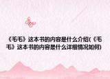 《毛毛》這本書的內(nèi)容是什么介紹(《毛毛》這本書的內(nèi)容是什么詳細情況如何)