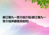 都江堰九一堂介紹介紹(都江堰九一堂介紹詳細情況如何)
