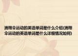 滑翔傘運(yùn)動(dòng)的英語單詞是什么介紹(滑翔傘運(yùn)動(dòng)的英語單詞是什么詳細(xì)情況如何)