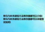 騎馬與砍殺刷錢方法修改器都可以介紹(騎馬與砍殺刷錢方法修改器都可以詳細(xì)情況如何)