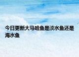 今日更新大馬哈魚(yú)是淡水魚(yú)還是海水魚(yú)