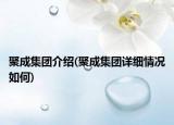 聚成集團介紹(聚成集團詳細情況如何)