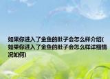 如果你進入了金魚的肚子會怎么樣介紹(如果你進入了金魚的肚子會怎么樣詳細情況如何)