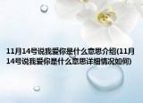 11月14號說我愛你是什么意思介紹(11月14號說我愛你是什么意思詳細情況如何)