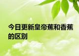 今日更新皇帝蕉和香蕉的區(qū)別