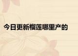 今日更新榴蓮哪里產(chǎn)的