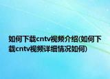 如何下載cntv視頻介紹(如何下載cntv視頻詳細情況如何)