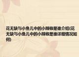 花無缺與小魚兒中的小辣椒是誰介紹(花無缺與小魚兒中的小辣椒是誰詳細情況如何)
