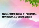 穿成紅樓林如海的兒子介紹(穿成紅樓林如海的兒子詳細情況如何)