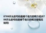 8789開(kāi)頭的號(hào)碼是哪個(gè)地方的呢介紹(8789開(kāi)頭的號(hào)碼是哪個(gè)地方的呢詳細(xì)情況如何)