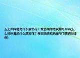 五上仙糾葛是什么意思花千骨里說(shuō)的是紫薰嗎介紹(五上仙糾葛是什么意思花千骨里說(shuō)的是紫薰嗎詳細(xì)情況如何)