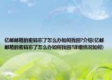 億郵郵箱的密碼忘了怎么辦如何找回?介紹(億郵郵箱的密碼忘了怎么辦如何找回?詳細(xì)情況如何)