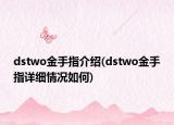 dstwo金手指介紹(dstwo金手指詳細情況如何)