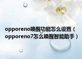 opporeno喚醒功能怎么設置（opporeno7怎么喚醒智能助手）