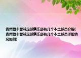 貴州恒豐智誠足球俱樂部有幾個本土球員介紹(貴州恒豐智誠足球俱樂部有幾個本土球員詳細情況如何)