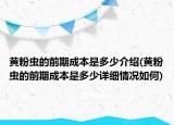 黃粉蟲的前期成本是多少介紹(黃粉蟲的前期成本是多少詳細情況如何)