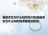 絕地求生為什么叫吃雞介紹(絕地求生為什么叫吃雞詳細情況如何)
