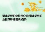 獵魂覺醒職業(yè)推薦介紹(獵魂覺醒職業(yè)推薦詳細情況如何)