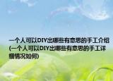 一個人可以DIY出哪些有意思的手工介紹(一個人可以DIY出哪些有意思的手工詳細情況如何)
