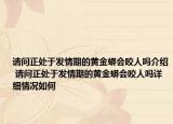 請問正處于發(fā)情期的黃金蟒會咬人嗎介紹 請問正處于發(fā)情期的黃金蟒會咬人嗎詳細情況如何