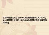 鼠標(biāo)和鍵盤沒反應(yīng)怎么辦電腦鼠標(biāo)鍵盤突然失靈介紹(鼠標(biāo)和鍵盤沒反應(yīng)怎么辦電腦鼠標(biāo)鍵盤突然失靈詳細(xì)情況如何)