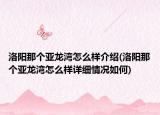 洛陽那個(gè)亞龍灣怎么樣介紹(洛陽那個(gè)亞龍灣怎么樣詳細(xì)情況如何)