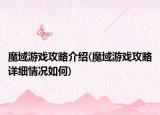 魔域游戲攻略介紹(魔域游戲攻略詳細(xì)情況如何)