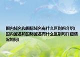 國(guó)內(nèi)域名和國(guó)際域名有什么區(qū)別嗎介紹(國(guó)內(nèi)域名和國(guó)際域名有什么區(qū)別嗎詳細(xì)情況如何)