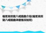 福星高照豬八戒插曲介紹(福星高照豬八戒插曲詳細情況如何)