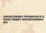 花湖開發(fā)區(qū)(到底是屬于 鄂州還是黃石的介紹 花湖開發(fā)區(qū) 到底是屬于 鄂州還是黃石的詳細情況如何)