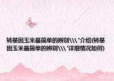 轉(zhuǎn)基因玉米最簡單的辨別\