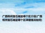 廣西梧州寶石城是哪個區(qū)介紹(廣西梧州寶石城是哪個區(qū)詳細(xì)情況如何)