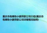 重慶市有哪些小額貸款公司介紹(重慶市有哪些小額貸款公司詳細(xì)情況如何)
