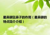 星鼻鼴鼠鼻子的作用（星鼻鼴的特點(diǎn)簡介介紹）
