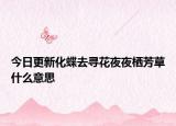 今日更新化蝶去尋花夜夜棲芳草什么意思