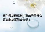 賽爾號(hào)龍族克制（賽爾號(hào)里什么系克制龍系簡介介紹）