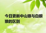 今日更新中山狼與白眼狼的區(qū)別