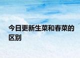 今日更新生菜和春菜的區(qū)別