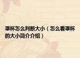 罩杯怎么判斷大?。ㄔ趺纯凑直拇笮『喗榻榻B）